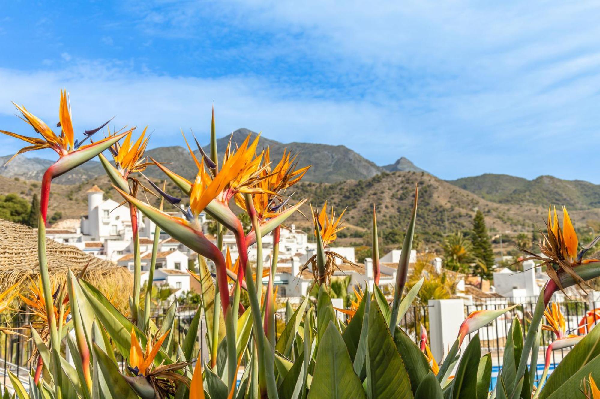Tetuan 31 Oasis Apartment